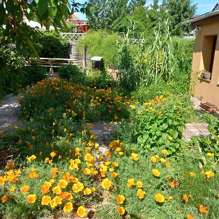 Jazmin-szieszta Apartmanhaz Апартаменты Балатонфюред